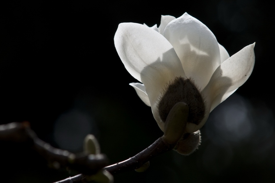 DSC_3925_调整大小.jpg