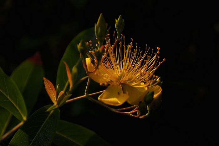 DSC_03806.jpg