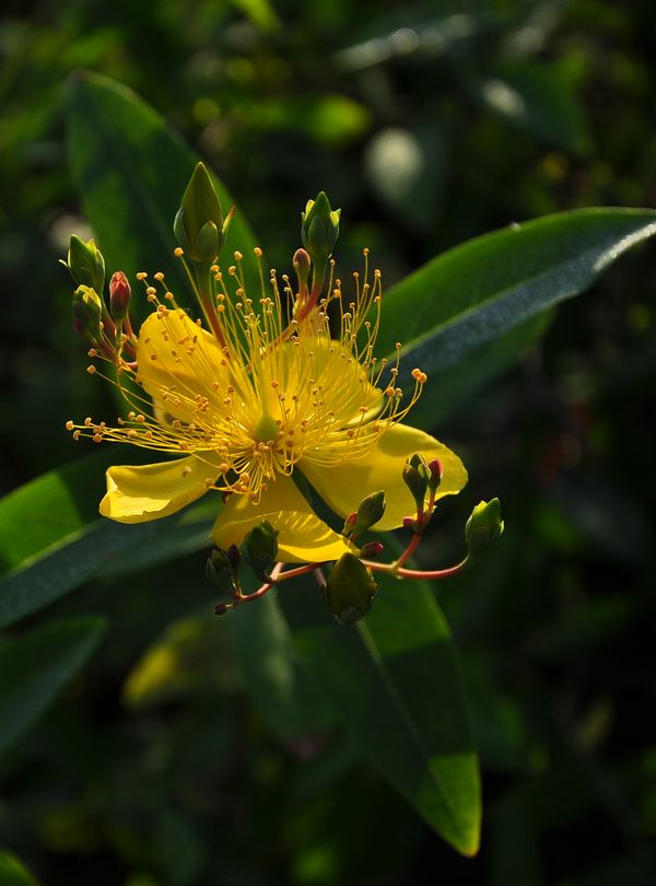 DSC_03916.jpg