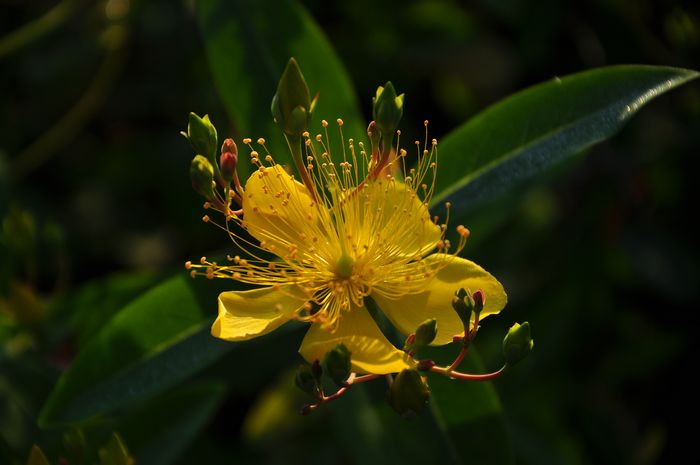 DSC_03926.jpg