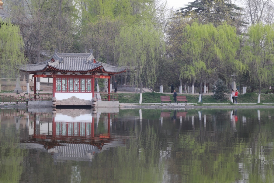 调整大小 IMG_5934.JPG