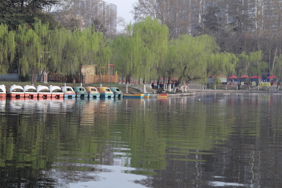 调整大小 IMG_5968.JPG