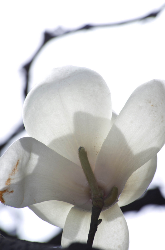 IMGP3290-3333_旋转.jpg