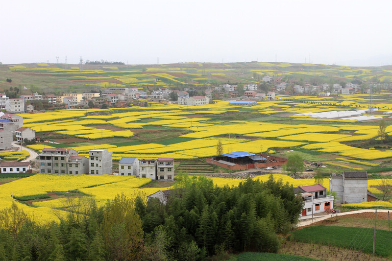 武当山、安康旅游 292.jpg