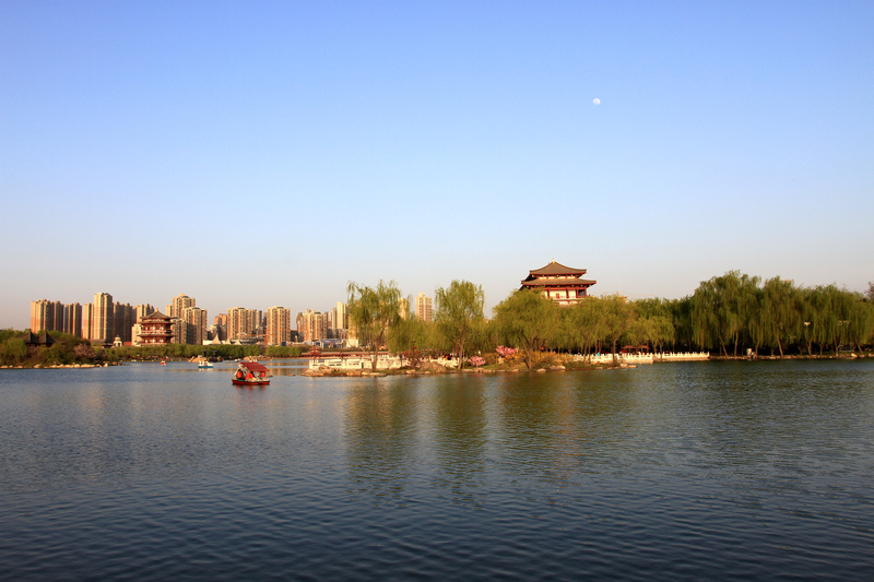 春光明媚芙蓉园 105.jpg