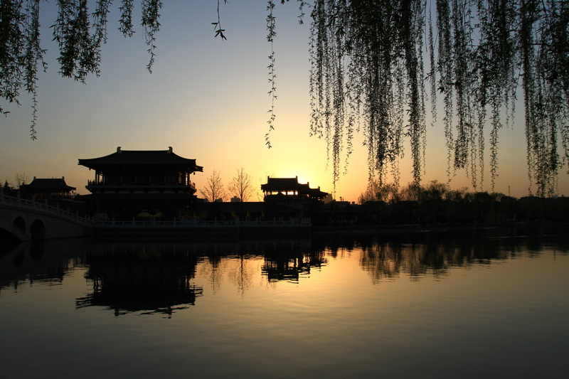 春光明媚芙蓉园 163.jpg