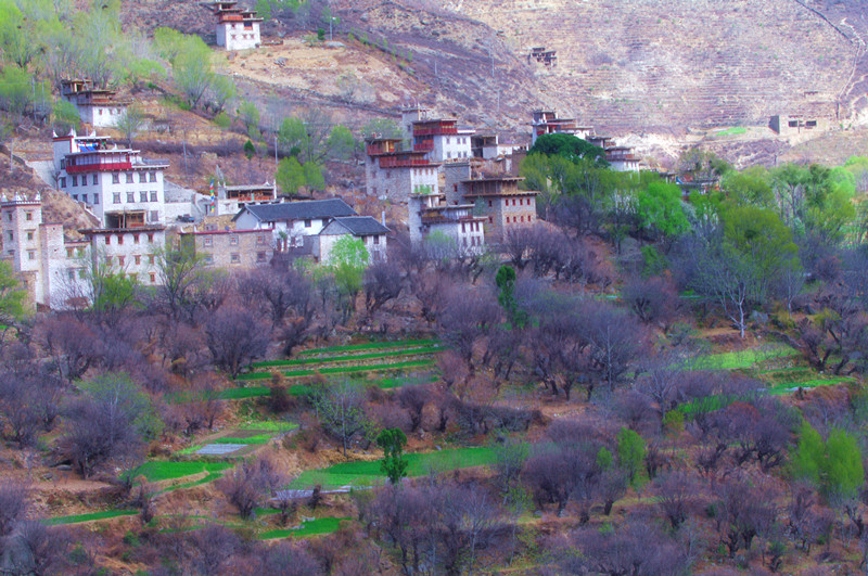 IMGP2890_副本.jpg