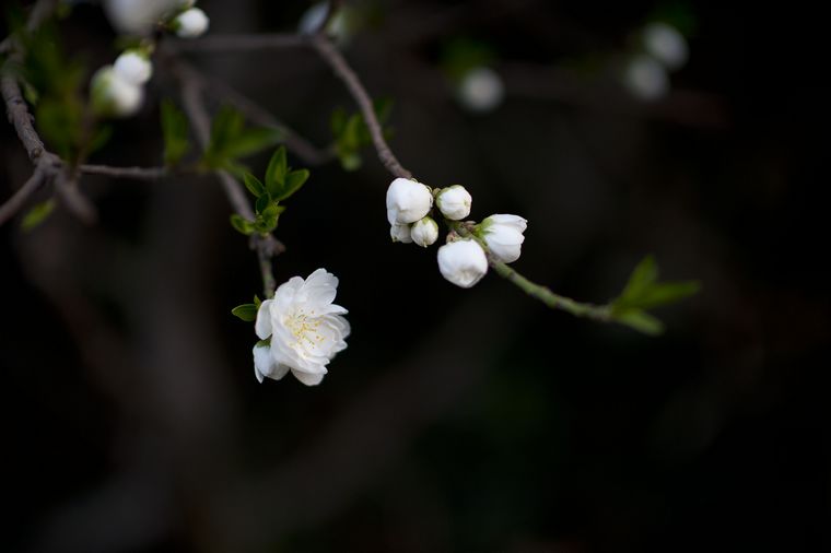 DSC_4057.jpg