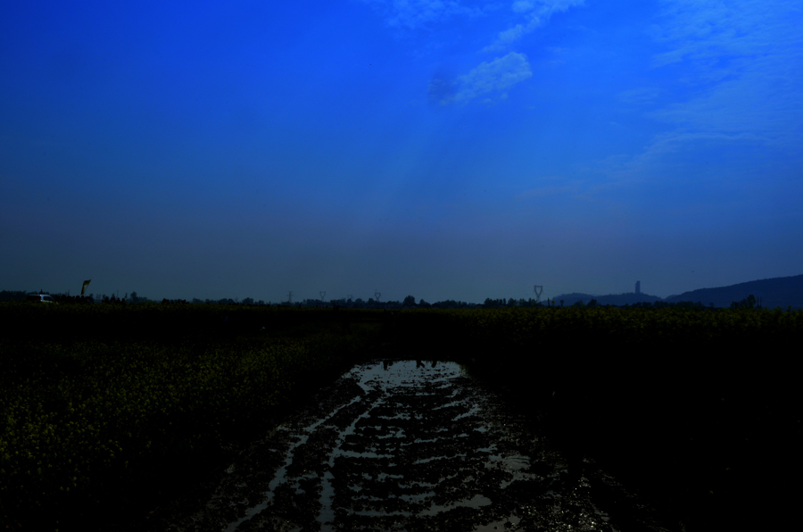 DSC_0011-.jpg