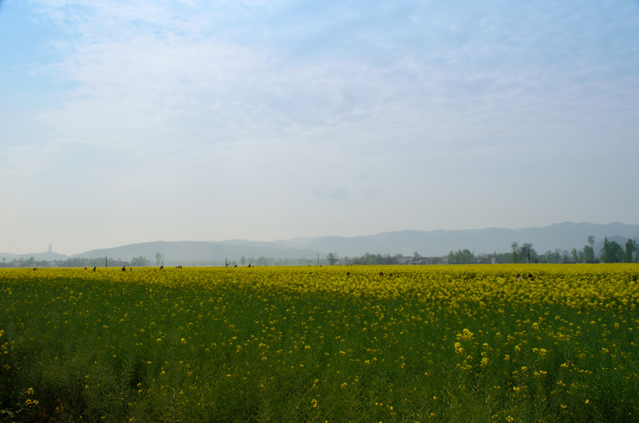 DSC_0014.JPG