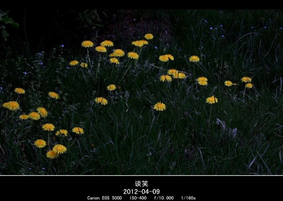 繁花世界 170A_副本.jpg