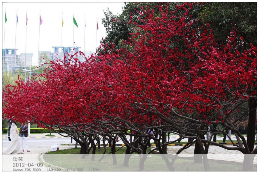 繁花世界 164A_副本.jpg