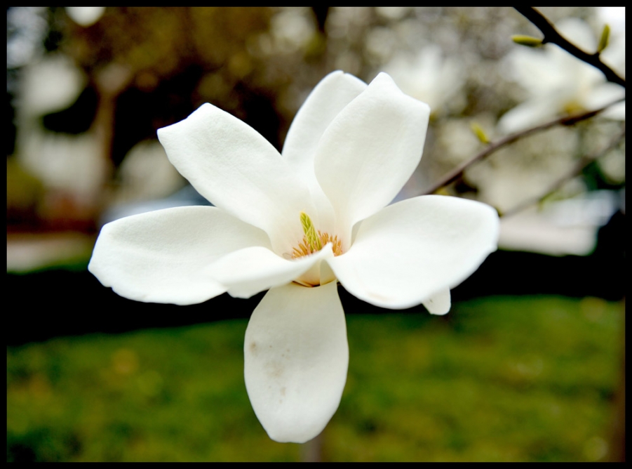 DSC_5903_01 副本.jpg