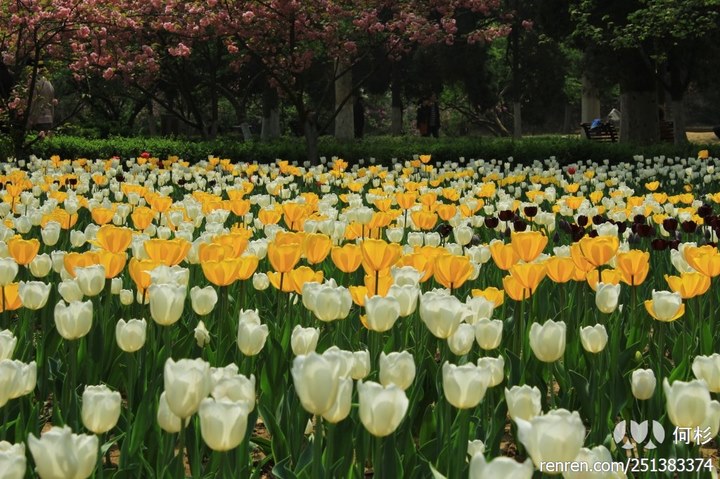 large_9EzJ_429600000687125f.jpg