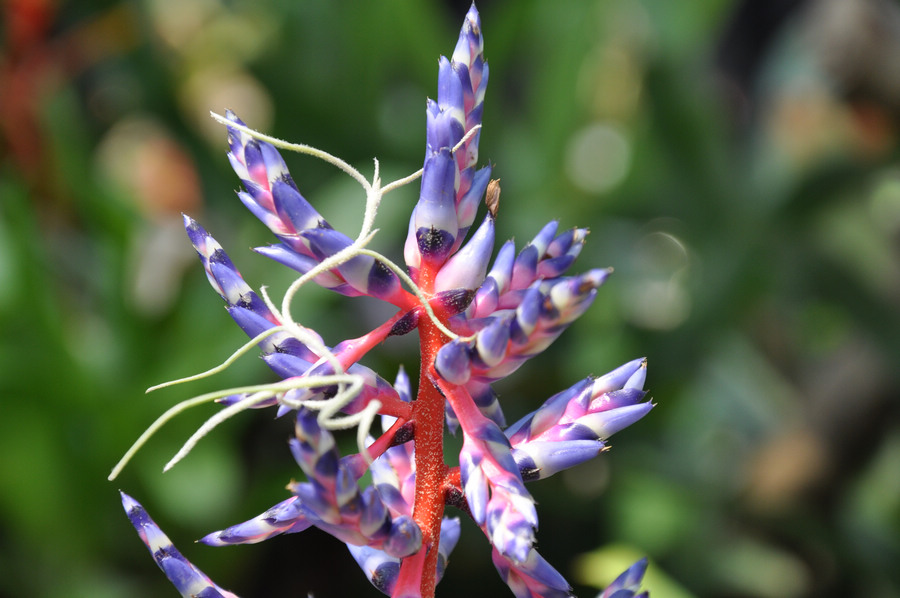 新建文件夹 060.jpg