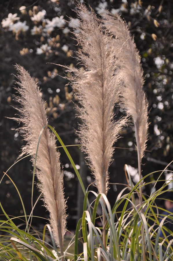 新建文件夹 104.jpg