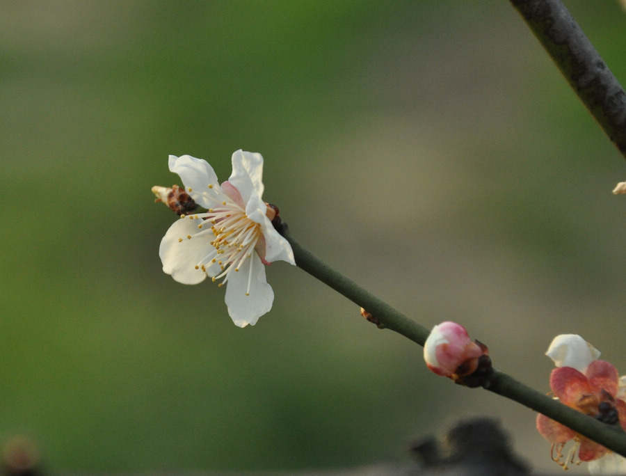 新建文件夹 117.jpg