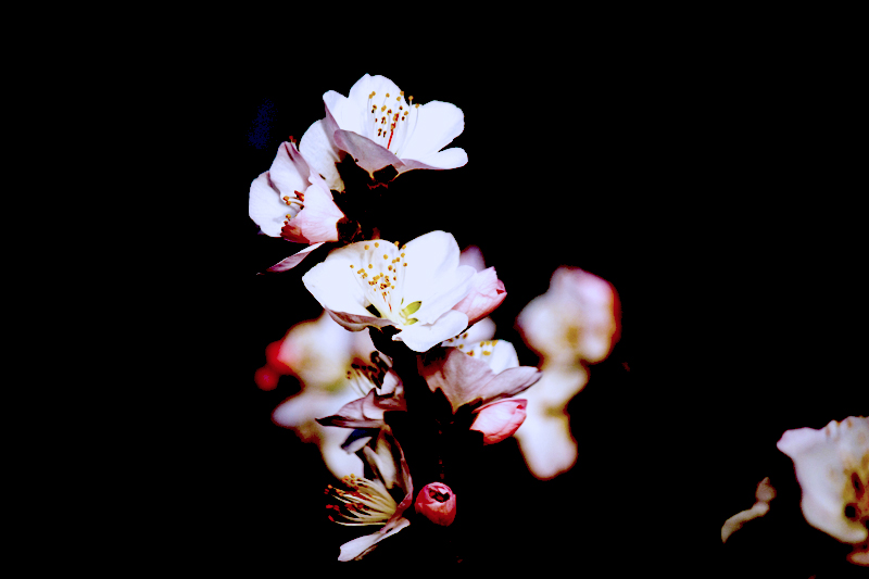 照片 045.jpg