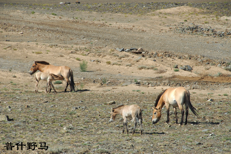 DSC_0303.JPG