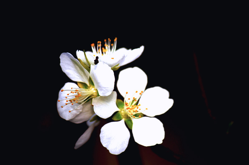 照片 038.jpg