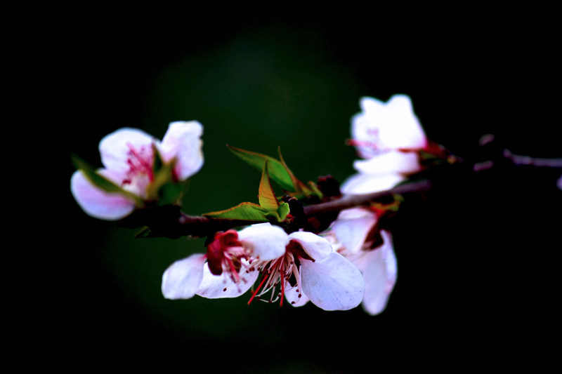 照片 071.jpg