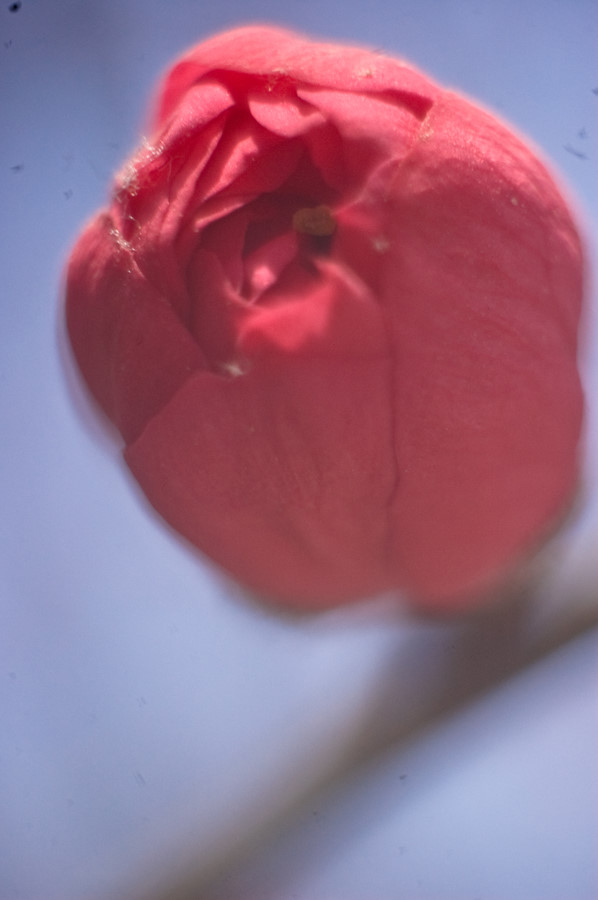 x_large_KyhX_2eb8000029ac1262.jpg