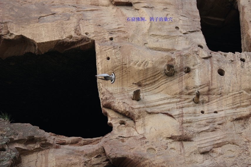 nEO_IMG_0415大佛寺游记600d 135L12.jpg