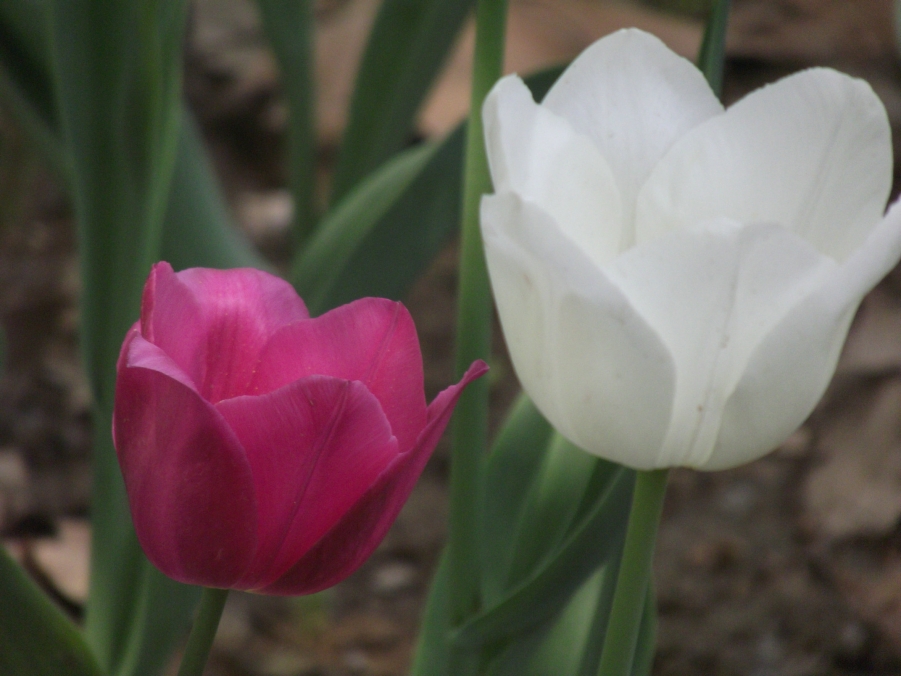 DSCF3315.JPG