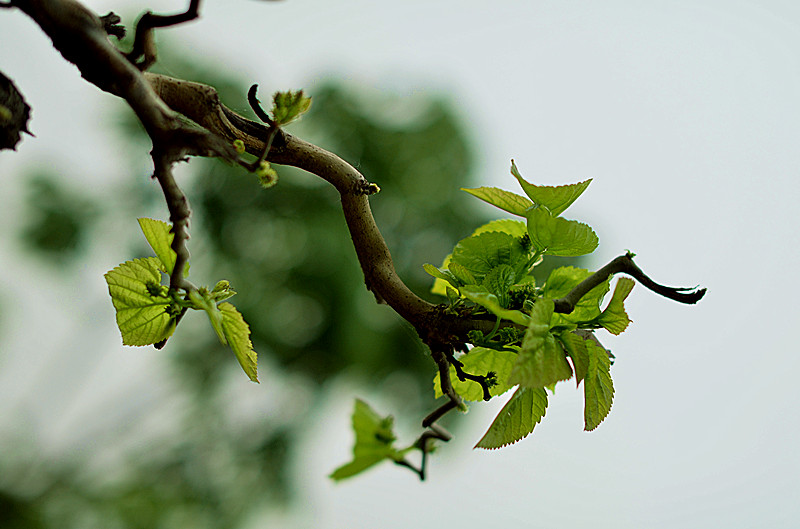 照片 088_副本.jpg