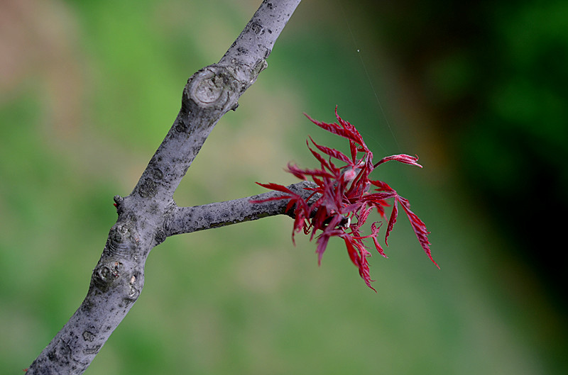 照片 136_副本.jpg