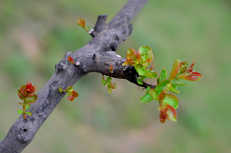 照片 141_副本.jpg