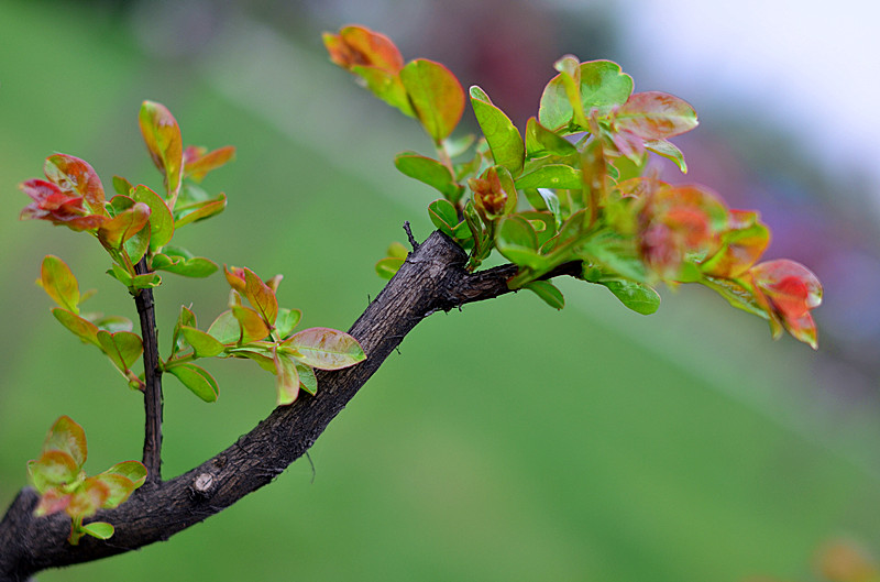 照片 142_副本.jpg