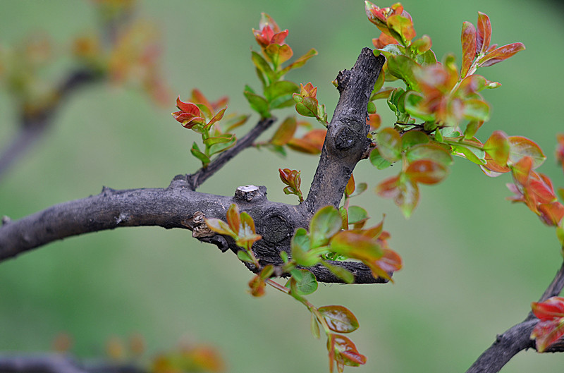 照片 152_副本.jpg