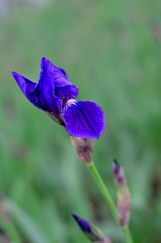 照片 168_副本.jpg