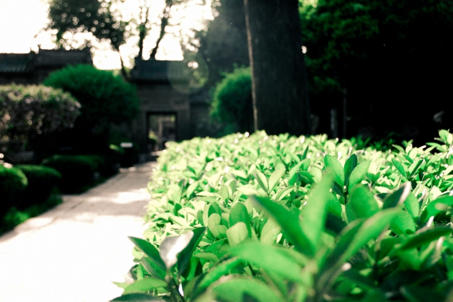 _MG_4667.jpg
