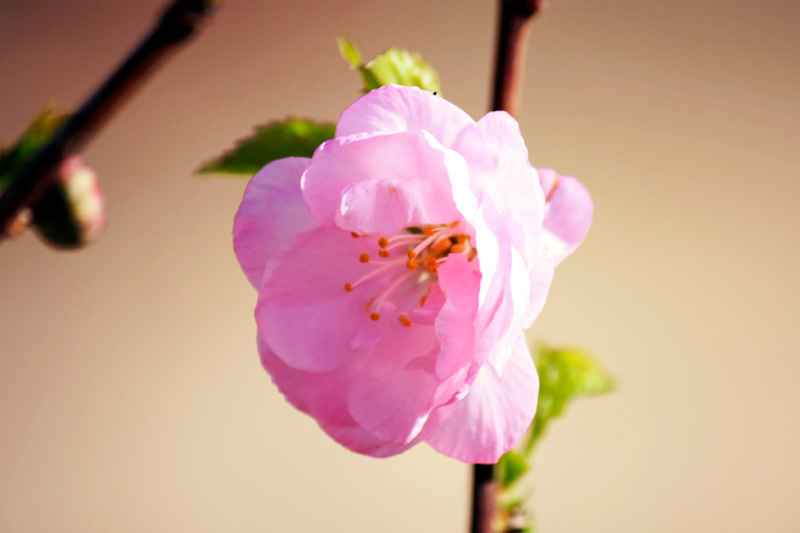 照片 073.jpg
