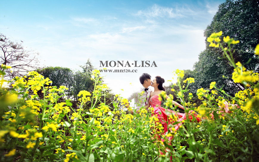 油菜花婚纱照