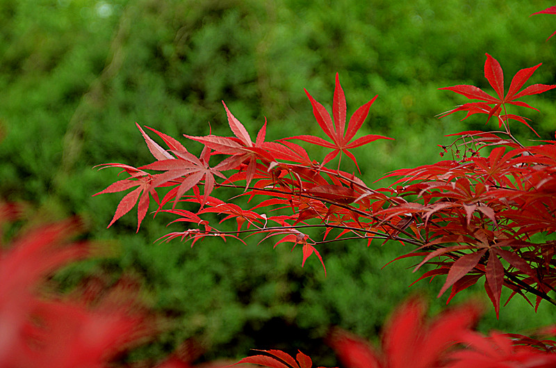 照片 022_副本.jpg