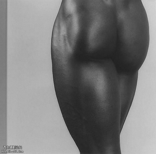 Robert_Mapplethorpe_047.jpg