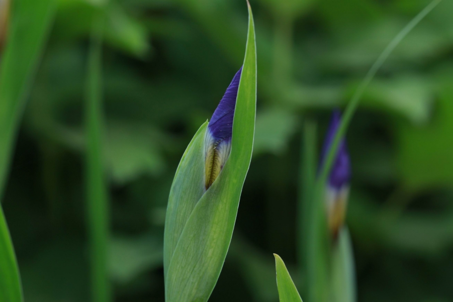 调整大小 IMG_7851.jpg