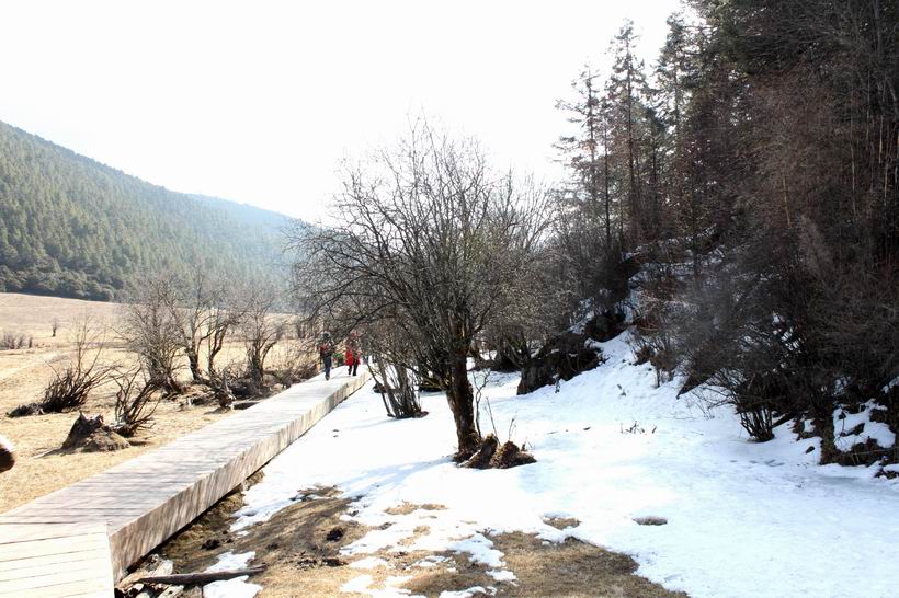 调整大小 重新曝光 IMG_7783.jpg