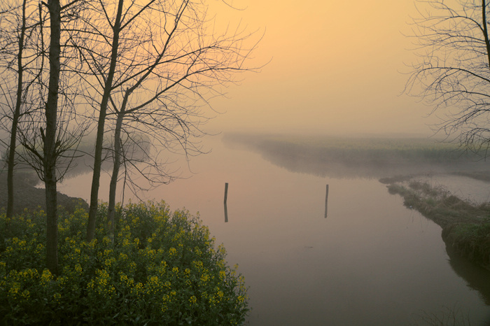 DSC_7547b.jpg