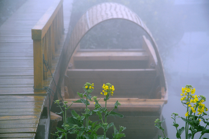 DSC_7577b.jpg