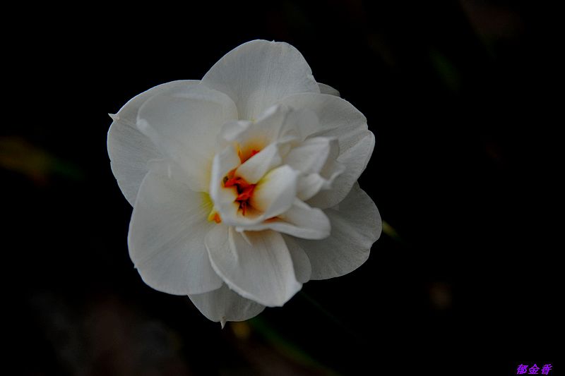 0SC_9059.jpg