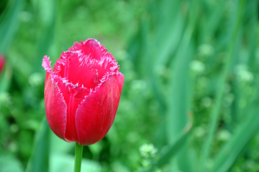 DSC_0744.JPG