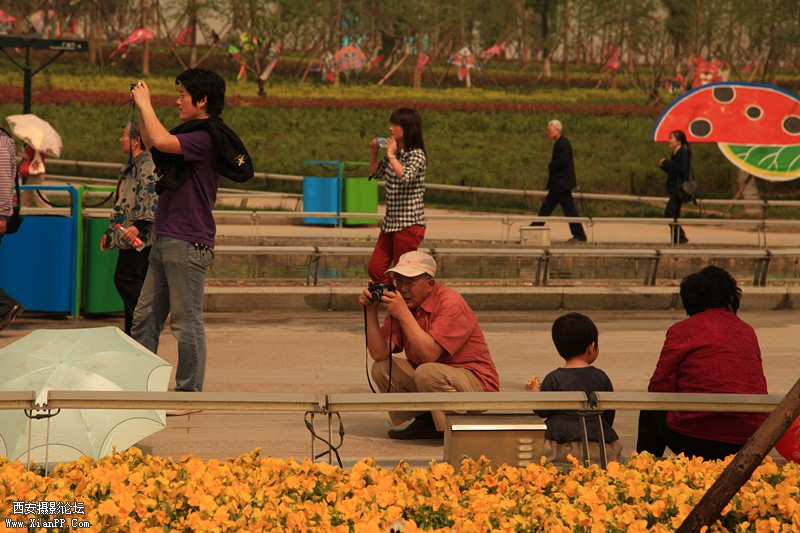 麻豆 183_副本.jpg