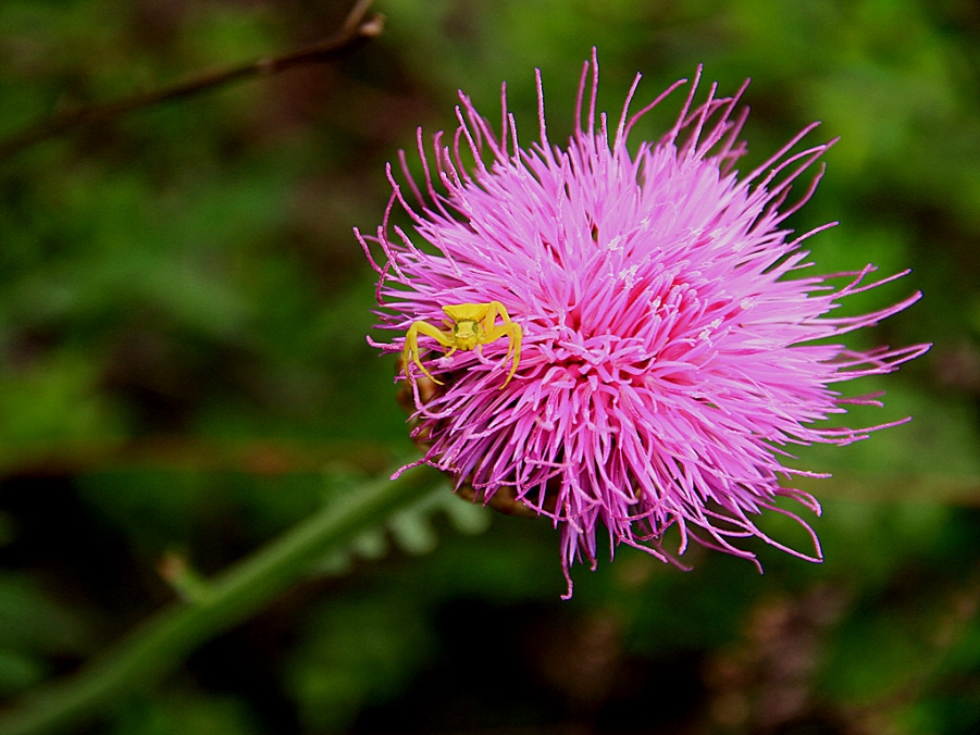 复件 渭 043_副本.jpg