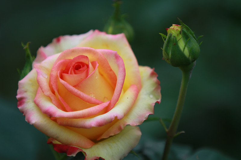 李志鸿摄影作品 054.jpg