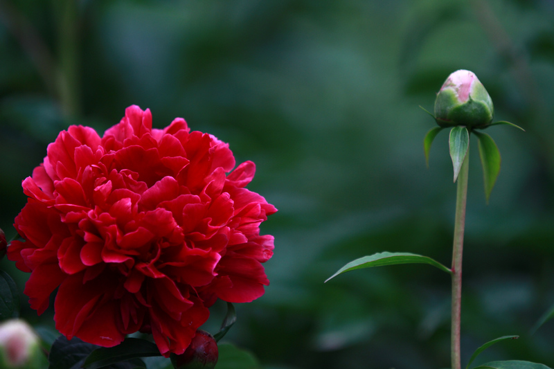 李志鸿摄影作品 116.jpg