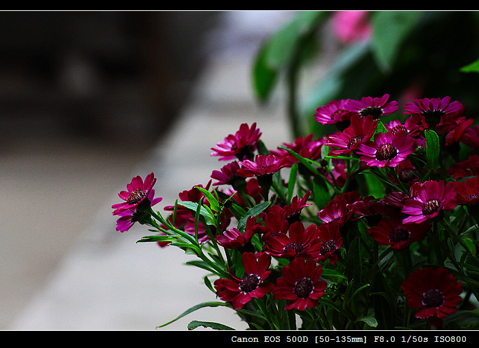 IMG_7643.jpg